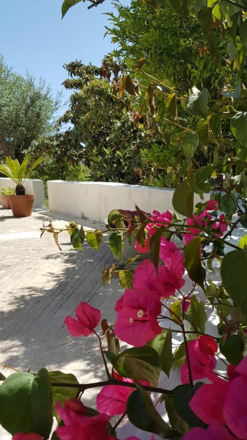 Villa Il Lentisco à Noto Extérieur photo